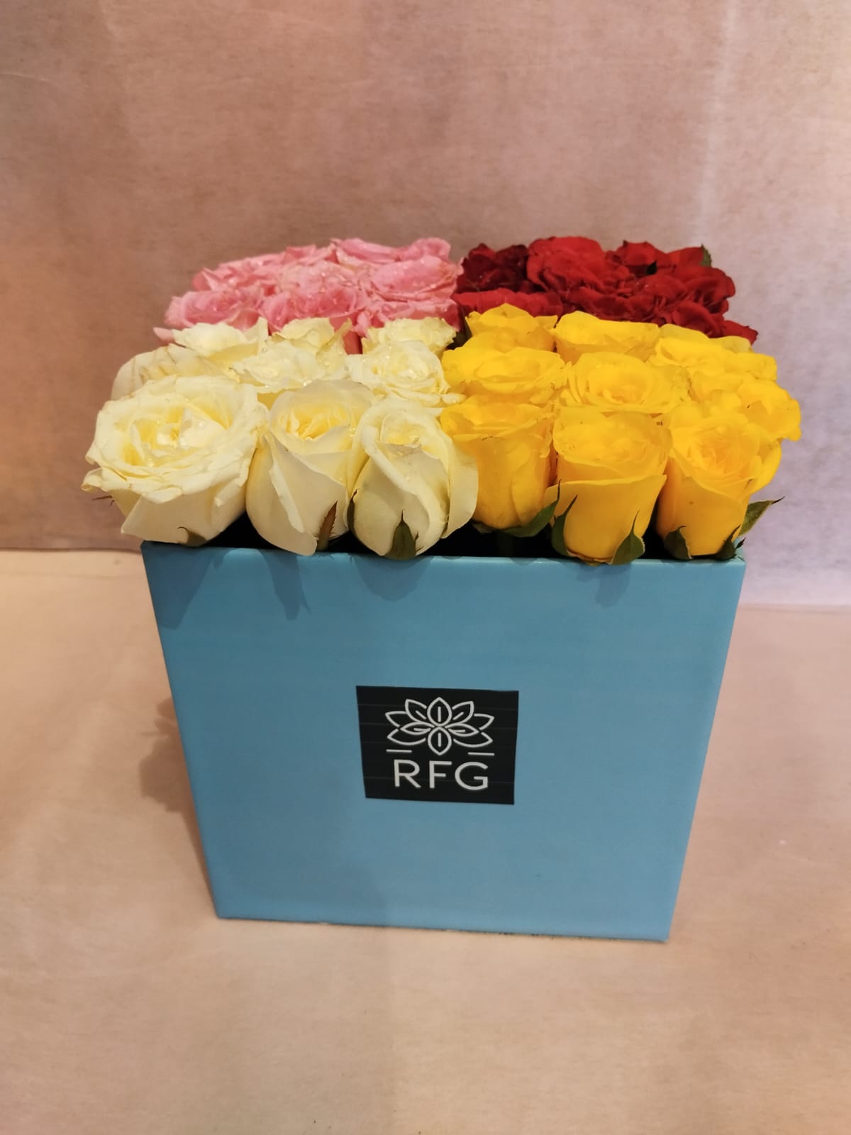 36 malticlor rose box