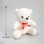 6 inch teddy