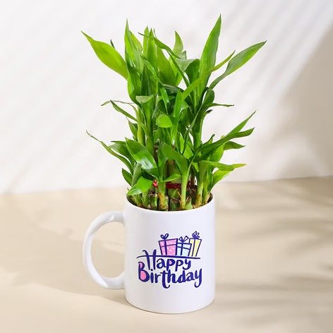 birthday mug bamboo